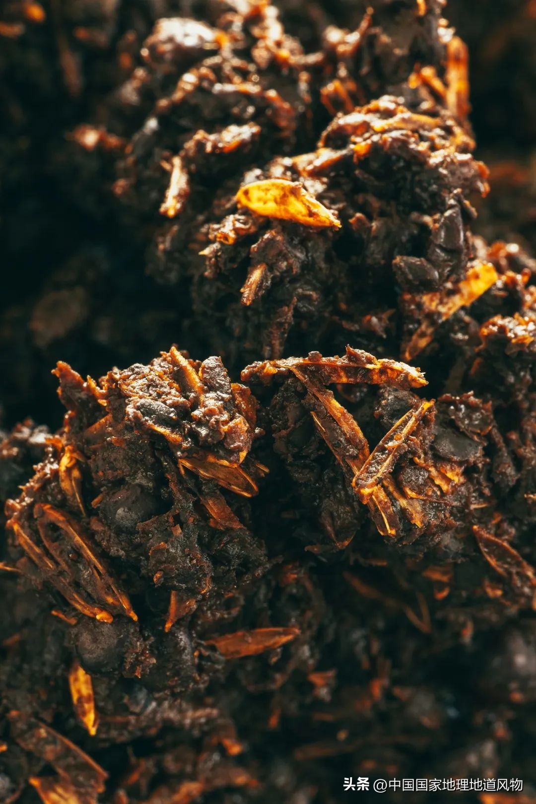 茅台酒的味道是香精调出来的吗,茅台酒的酱香是什么酱