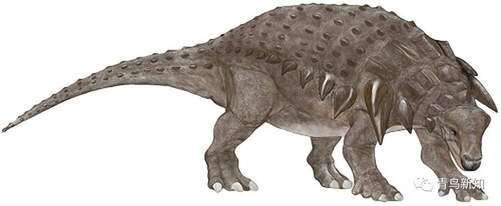 恐龙主题的铠甲可穿戴,恐龙战士怎么变身