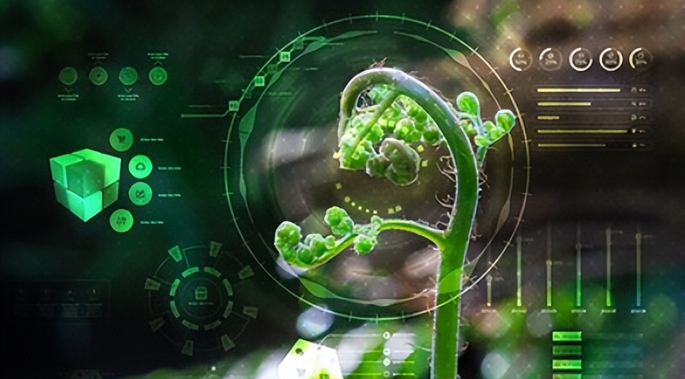 2023之后报考什么专业比较吃香,2023年报考什么专业是好专业