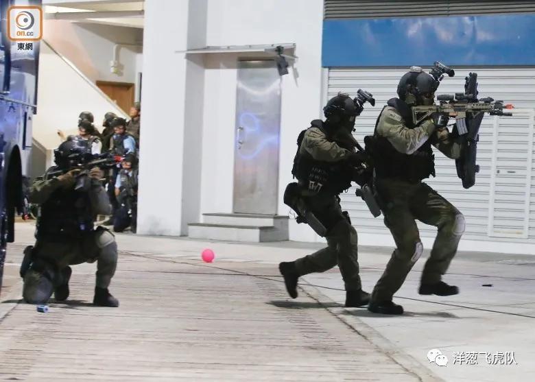 虎年说虎科普视频,虎年说虎运用了哪些说明方法