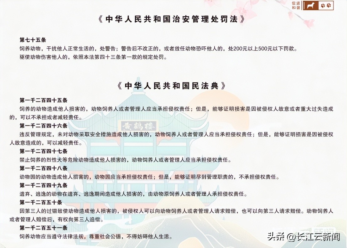 武汉狗狗哪里办证,武汉狗狗办证流程