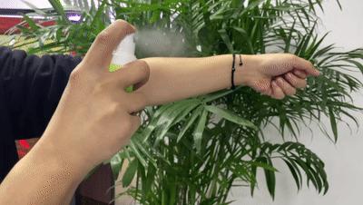 蜻蜓一小时吃多少只蚊子,蜻蜓能吃多少只蚊子