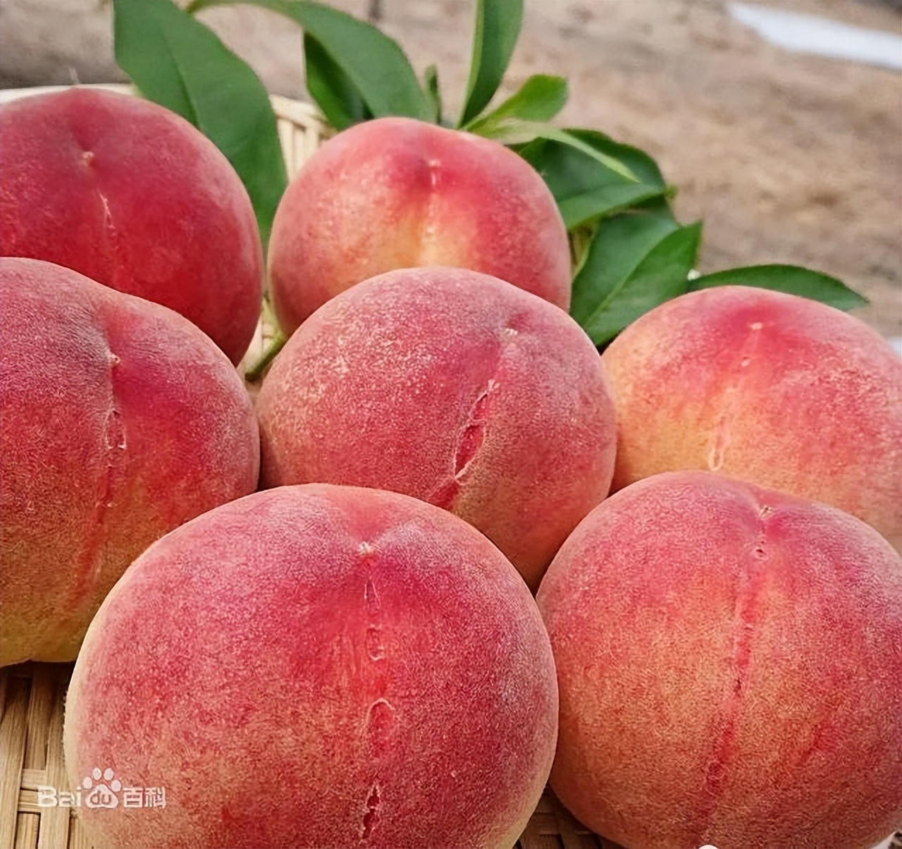 宁德福安实力,宁德最落后的一个县是哪里