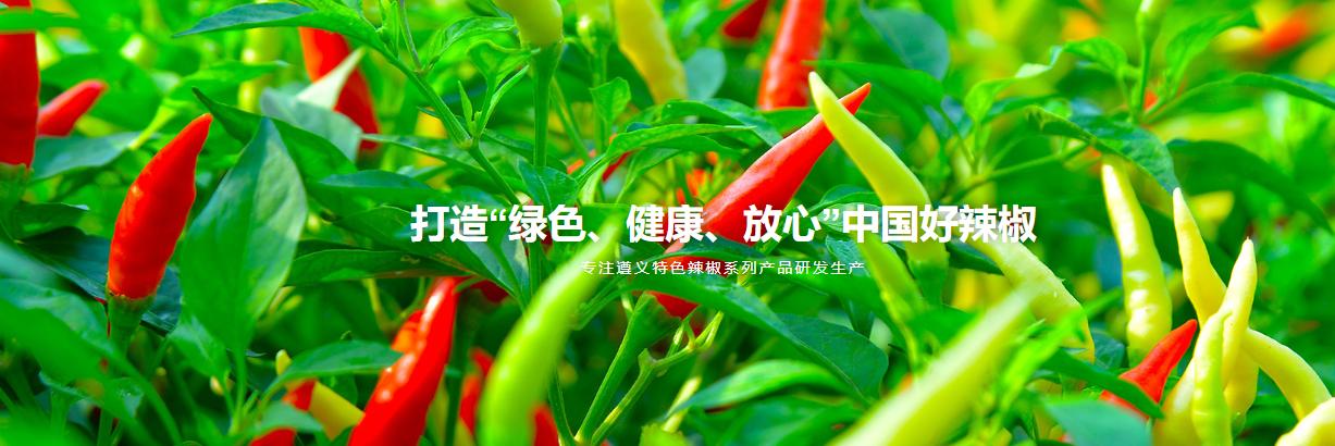 京客网：中文域名.网址域名助贵州新佳裕食品引领行业新趋势