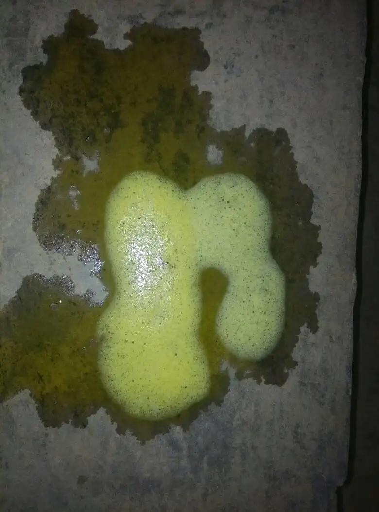 狗狗胰腺炎呕吐颜色,狗狗呕吐急救攻略分清症状能保命