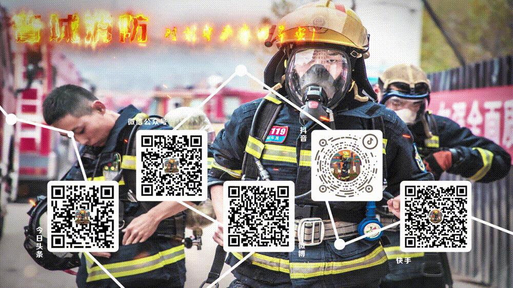 绿茵场上,绿茵场上展风采