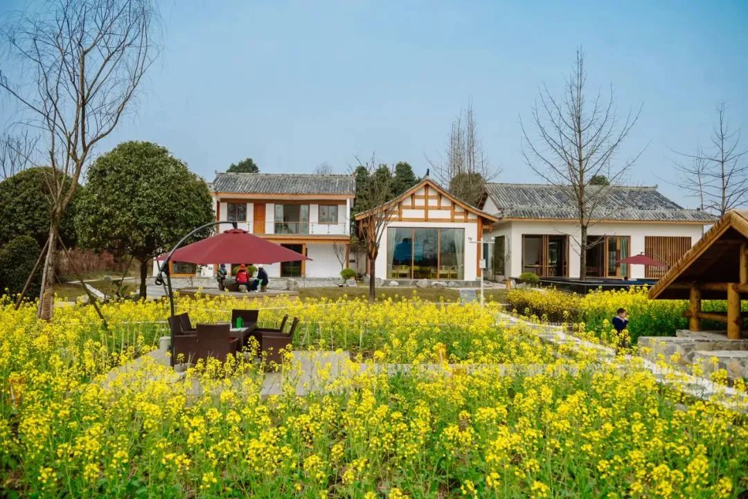 城郊村乡村振兴示范村典型案例,乡村振兴与旅游结合的优秀案例