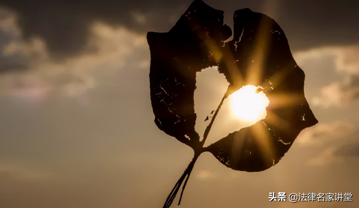 公公杀儿媳案二审宣判,因儿子的赔偿款公公杀害儿媳