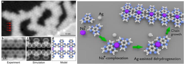 银离子浸渍海藻酸盐及其抗菌性能