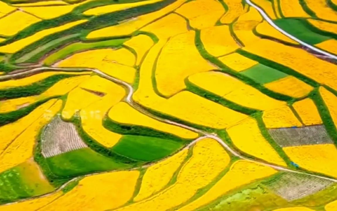 贵州网红草根把亲妹妹介绍给大衣哥做儿媳，返回老家一路江南美景