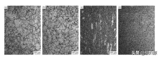 Ti和REE对铬铸铁初级结晶和耐磨性的影响