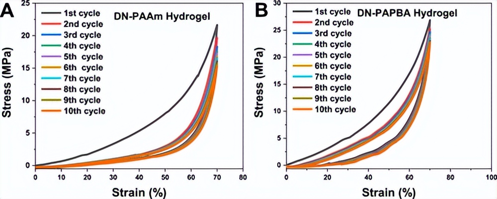 双重聚合的坚韧抗菌金属聚合物双网络水凝胶