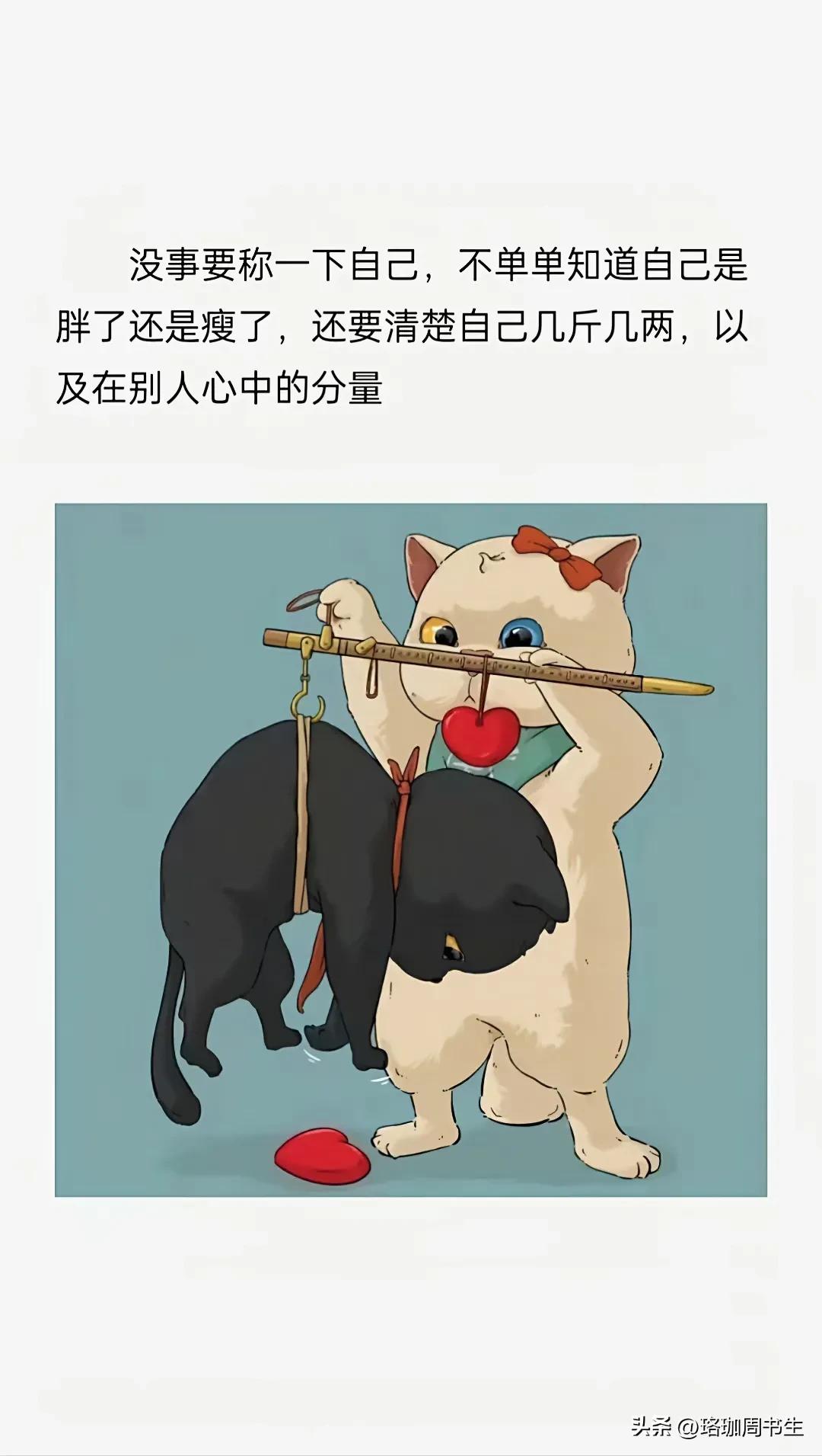 如何利用头条热榜写文章,头条发布文章垂直度