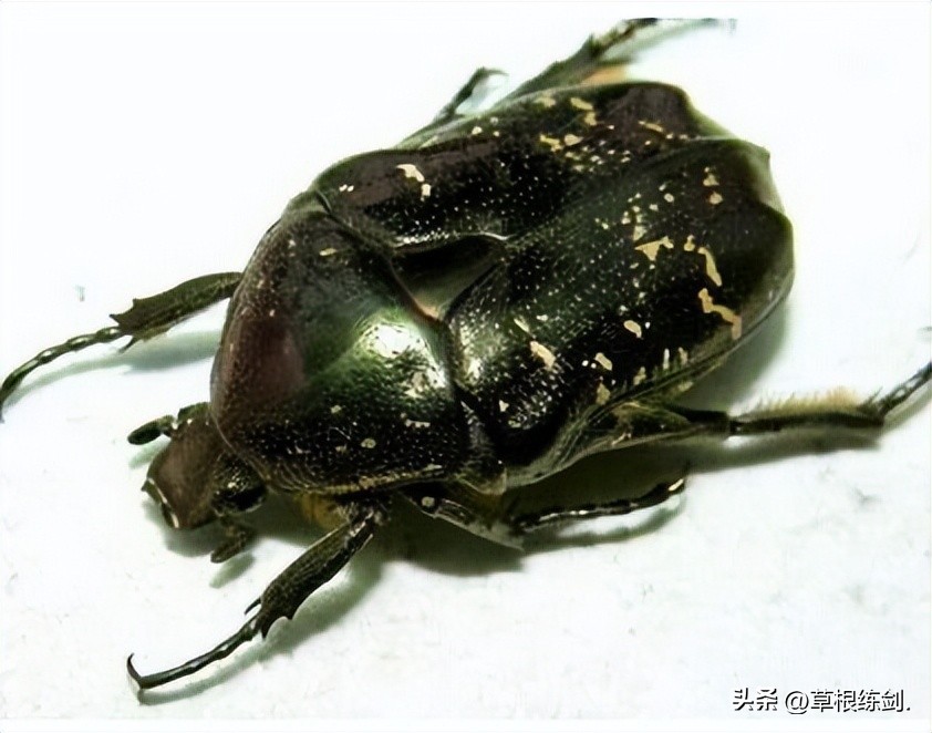 童年中哪些游戏最好玩儿,童年时代想怎么玩就怎么玩