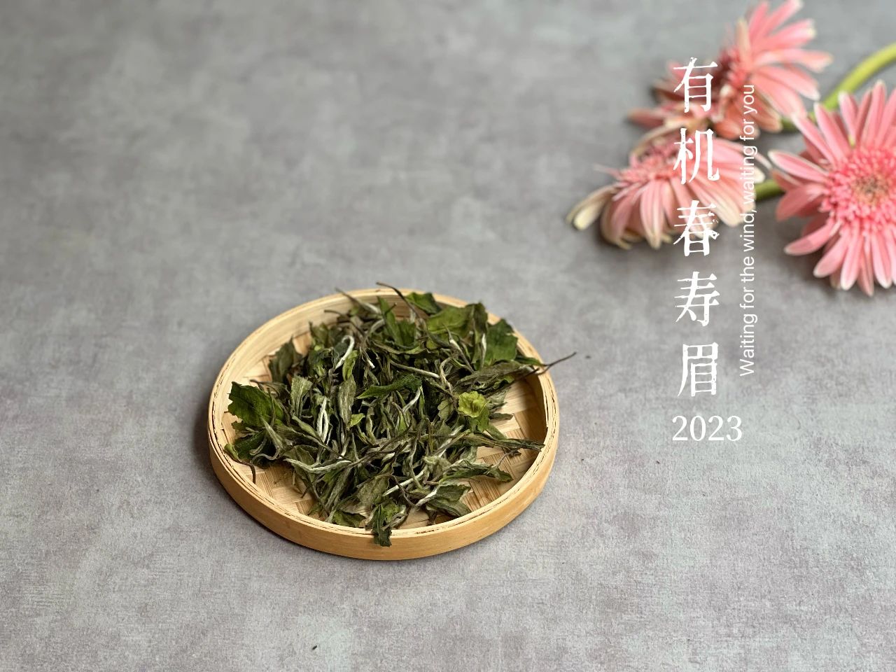 用防潮袋密封存茶可以吗,密封袋里的茶怎么储存