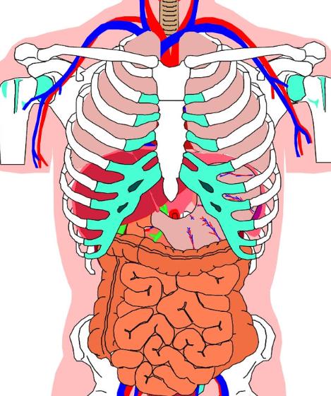 吃玉屏风散还是止不住出汗怎么办,大汗淋漓止不住出虚汗怎么治疗