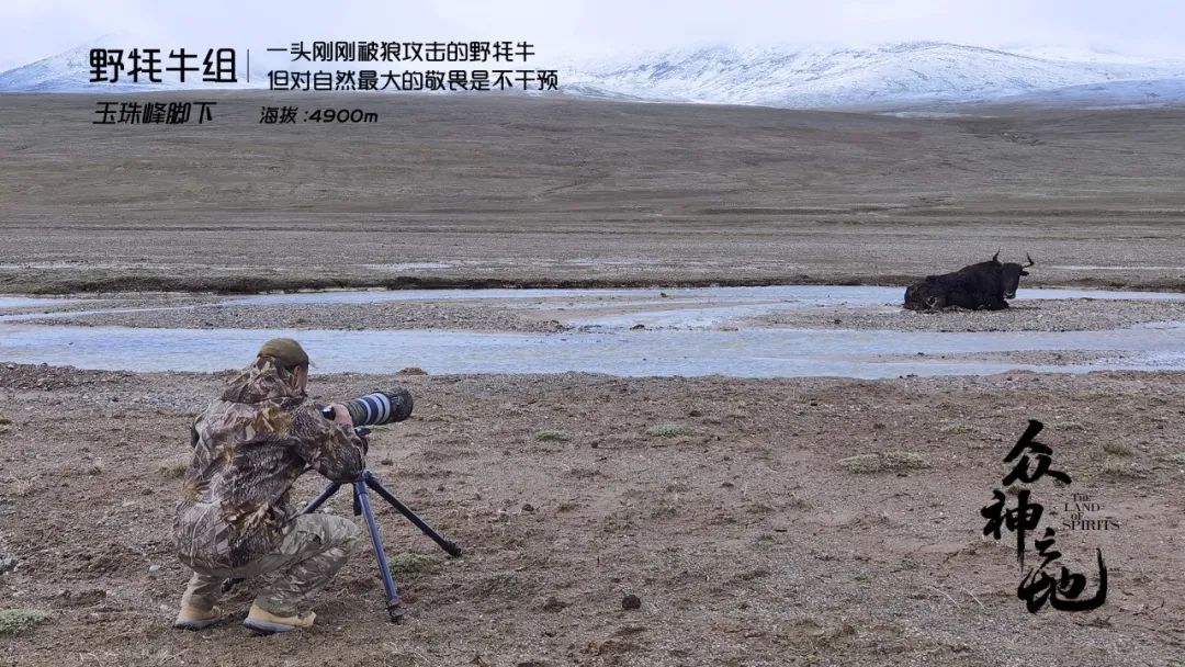 中国人冒死拍的纪录片,一群中国人冒死拍摄