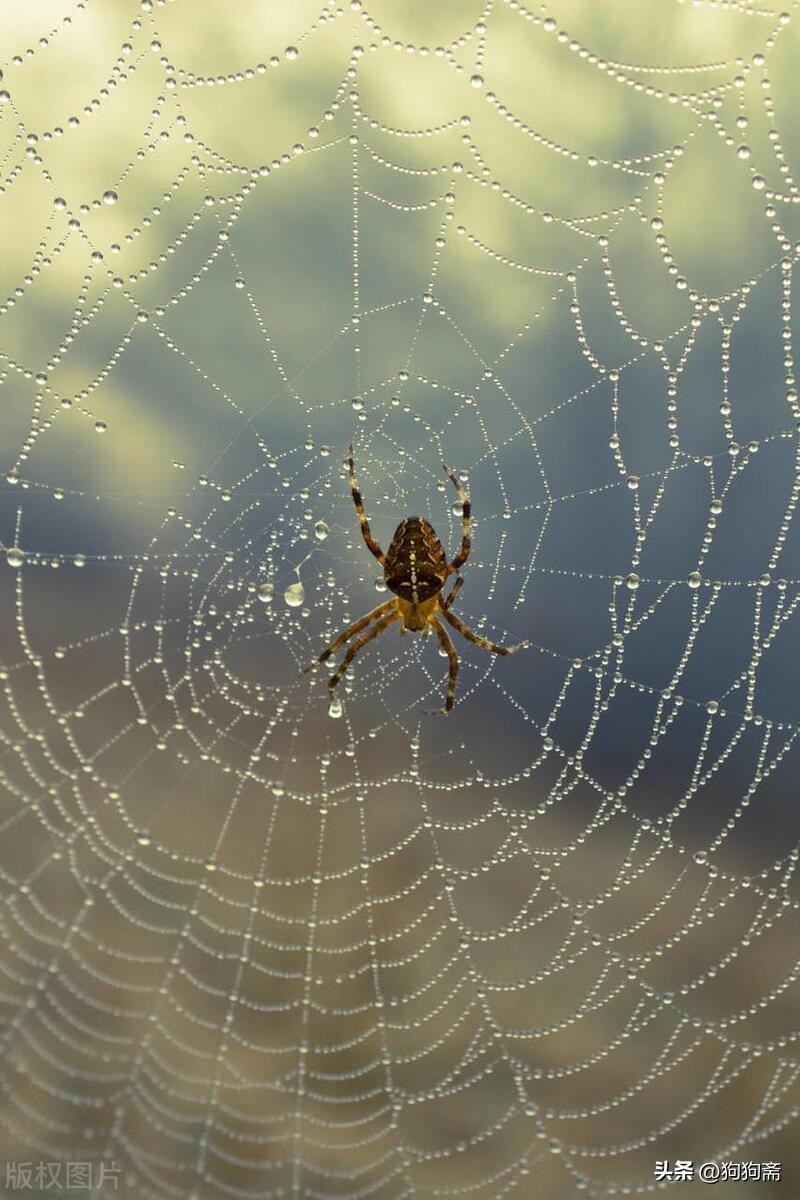 从底层开始小说,底层生活小说全集
