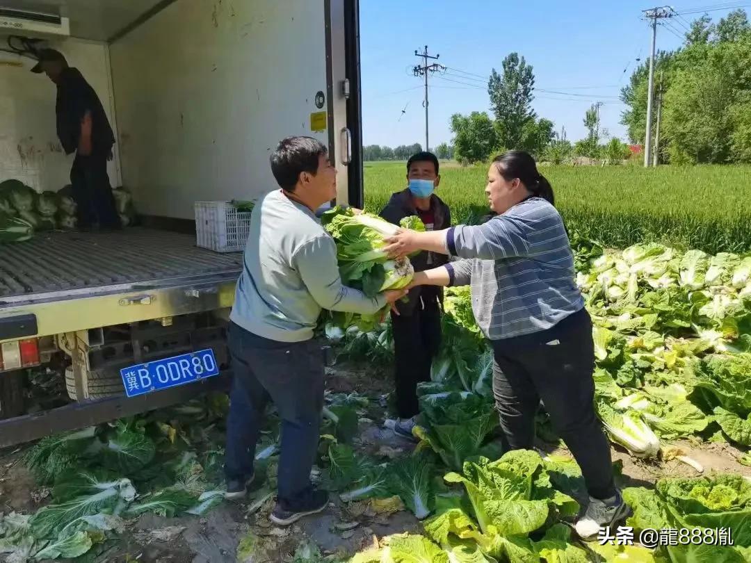 天奕商厦蔬菜,河北天奕商厦集团董事长捐款