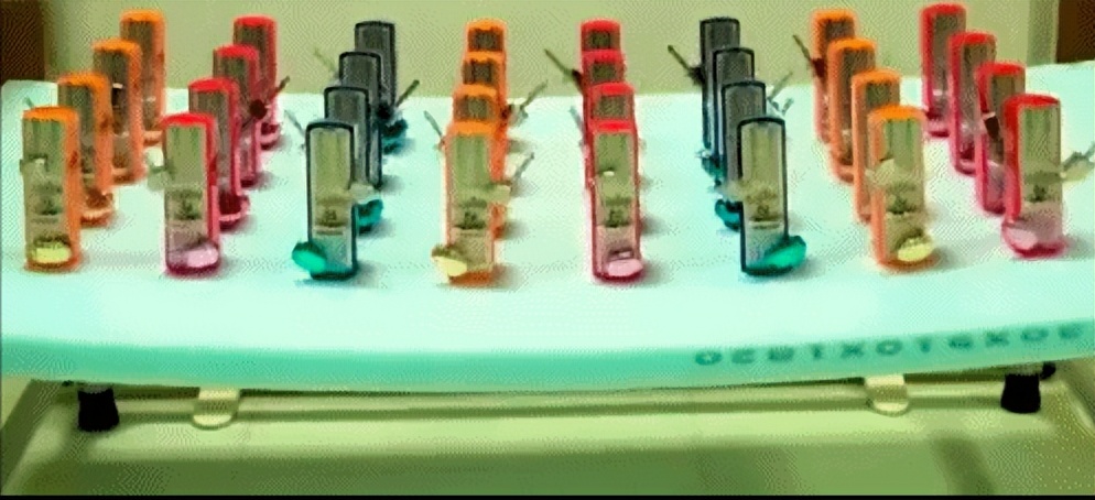 凌晨6点的香港中环健身,凌晨6点的香港健身房