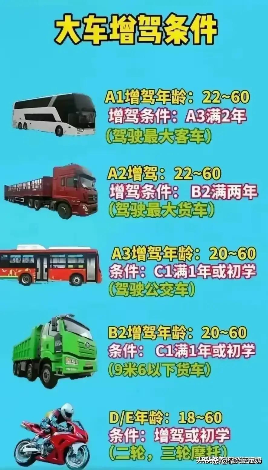 新手司机必知的号码,车牌号选号技巧和注意事项