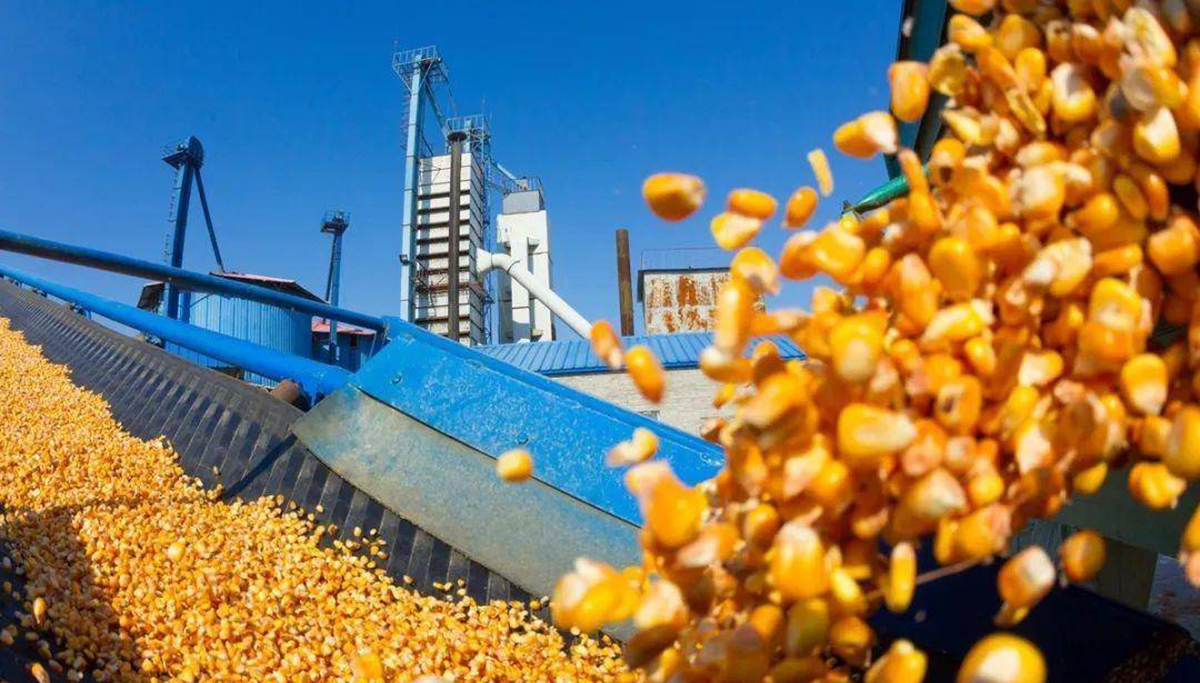 美国70万吨玉米订单被取消了吗,中国取消美国玉米订单吗