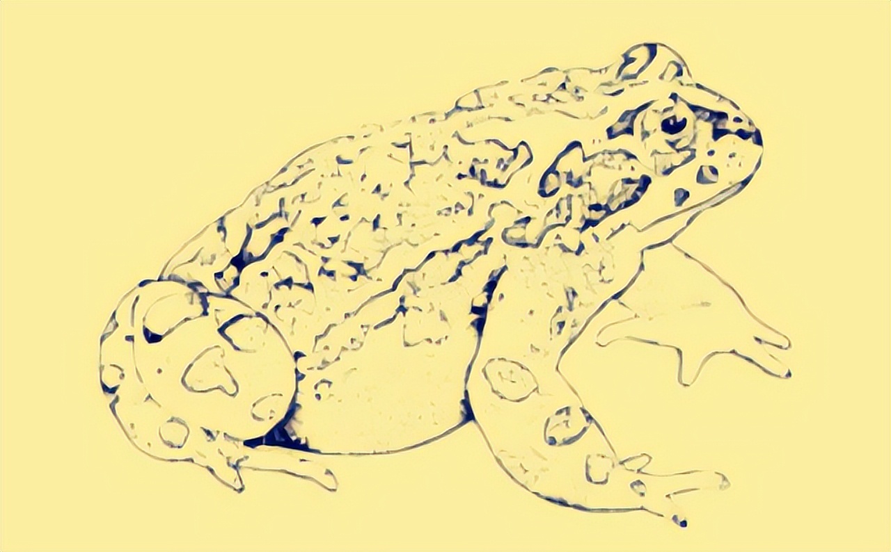 稳婆妙手接生小故事,稳婆接生故事完整版