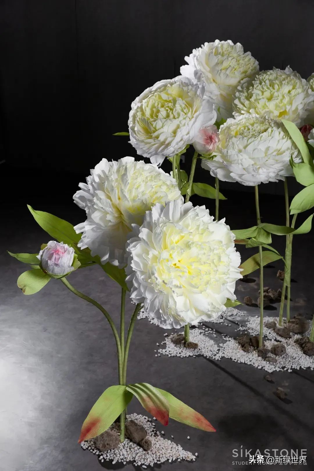 一组纸艺作品,令人惊艳的纸艺作品