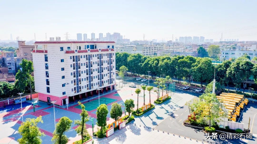 东莞四海学校招生简章,东莞石排四海学校怎么报名