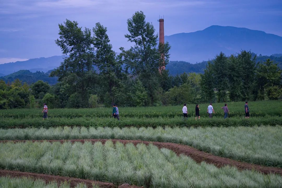 特色小镇的细节设计,生态旅游型特色小镇节能报告案例
