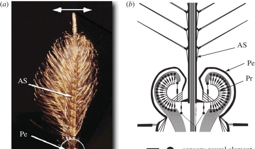 为什么耳朵听不见,左耳朵嗡嗡响听不到声音