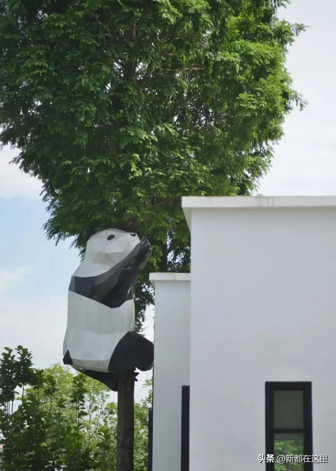 邂逅成都的100个生活细节,邂逅成都的一百个细节