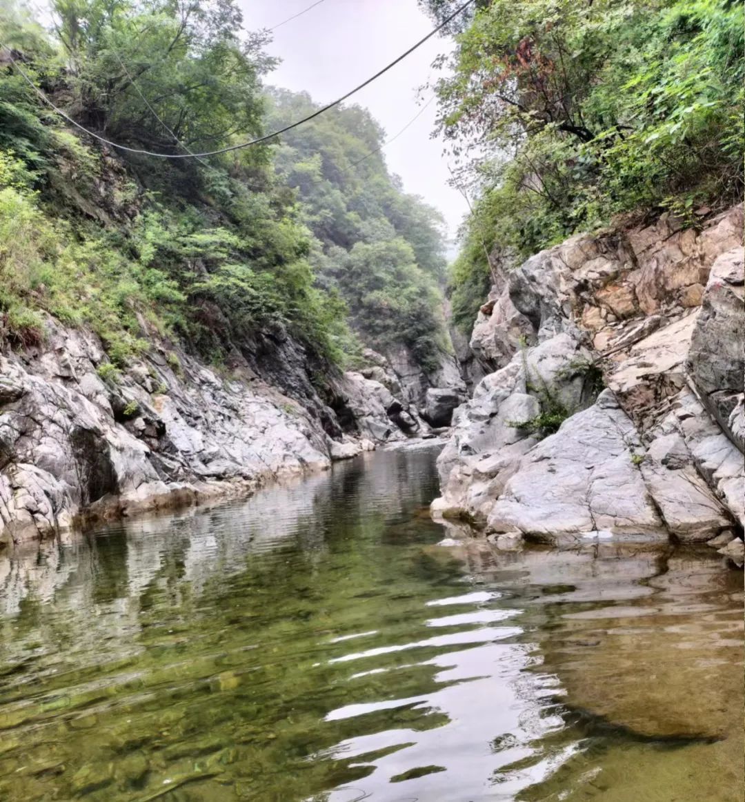 乐在其中——我与公众号“百姓文化视点”◎文/天涯