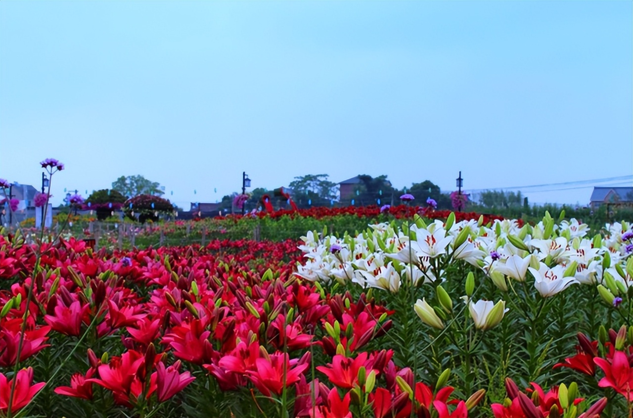 四川内江到云南旅游自驾游路线,重庆四川南充旅游线路攻略