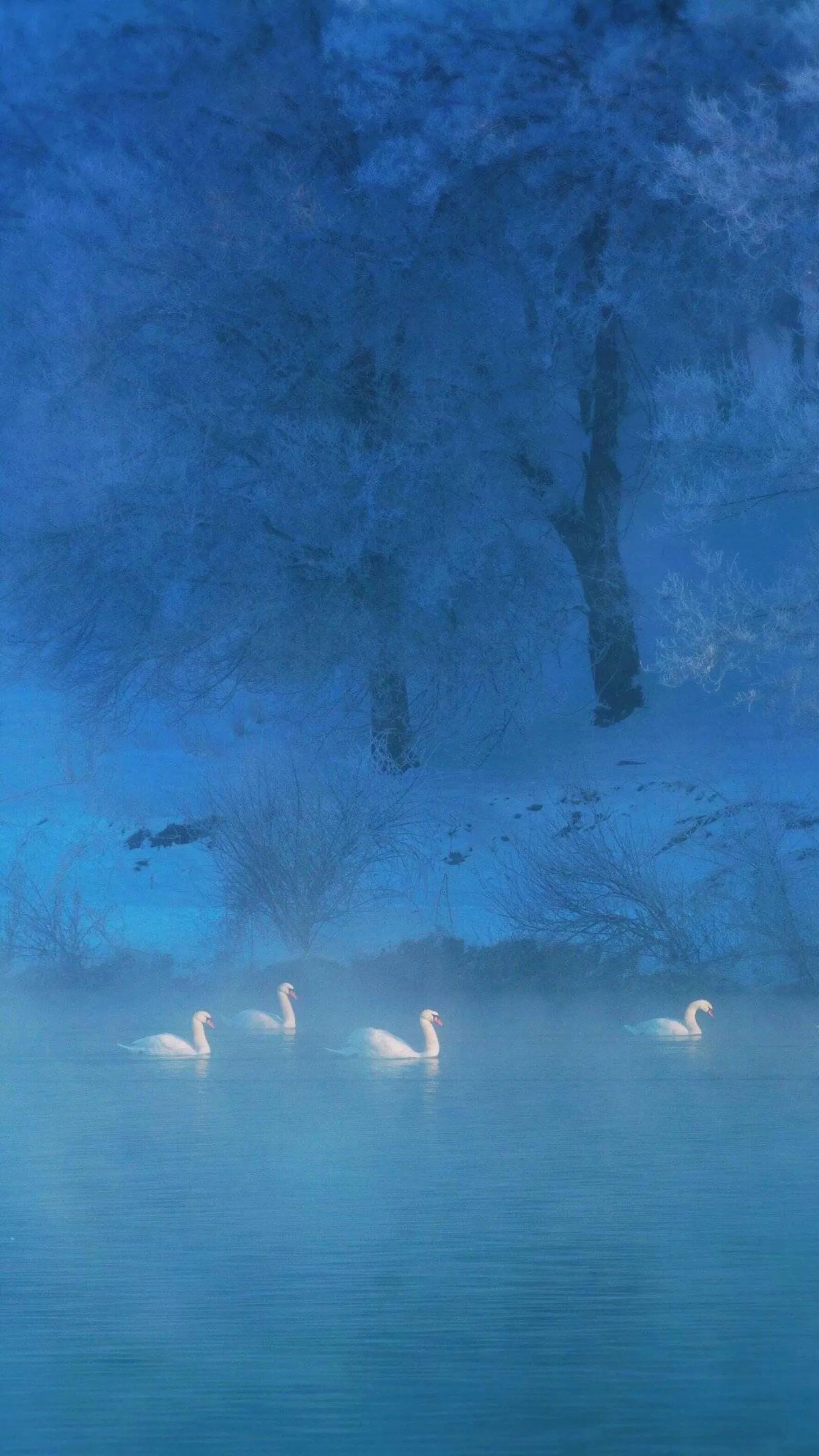 岁月漫长然而值得等待什么意思,总之岁月漫长然而值得等待配图