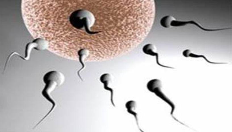 不孕症的中医治疗,山东省中医治疗不孕症名医