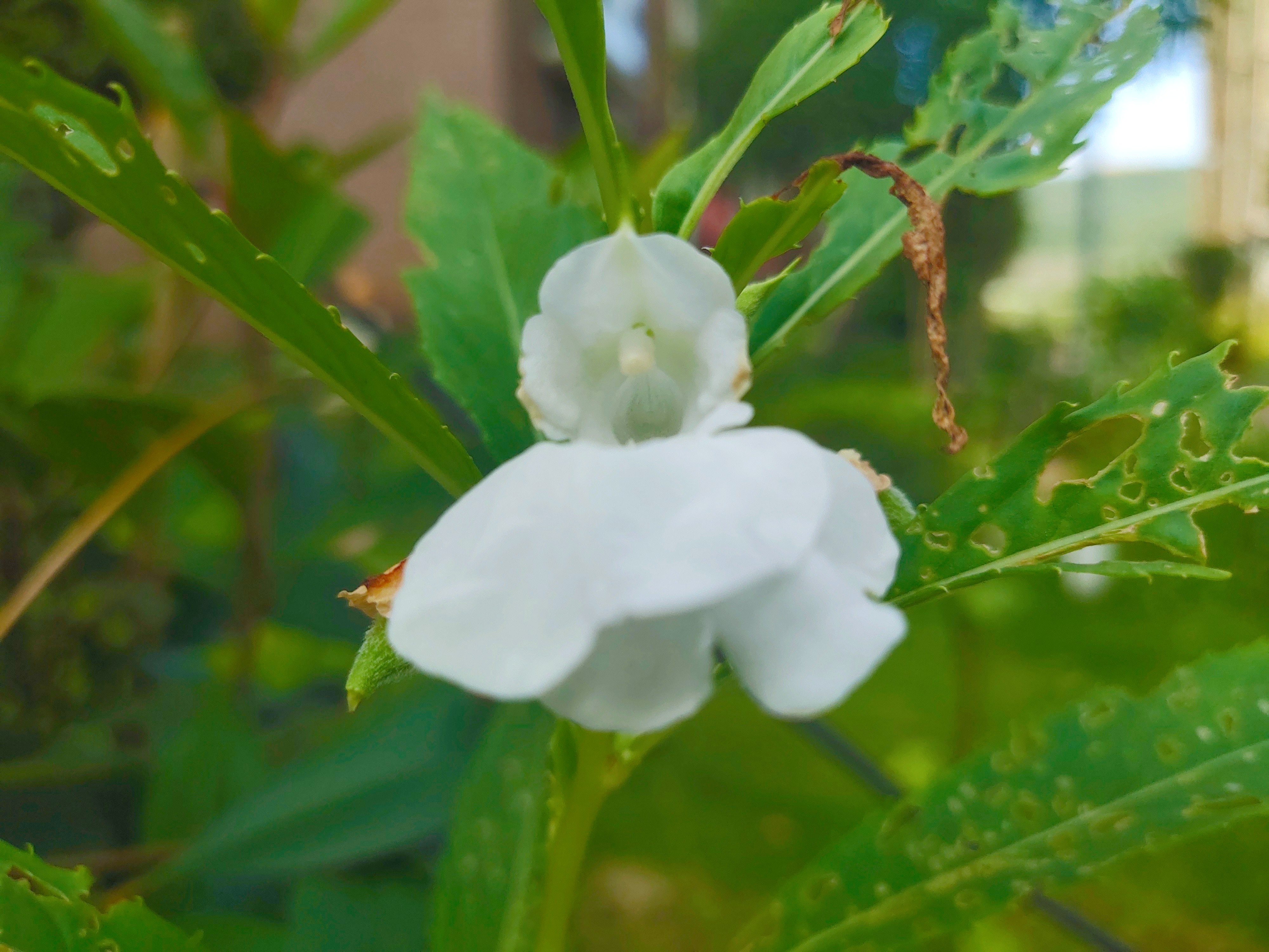 相亲见面两次可以发展到什么地步,同一个相亲对象介绍两次