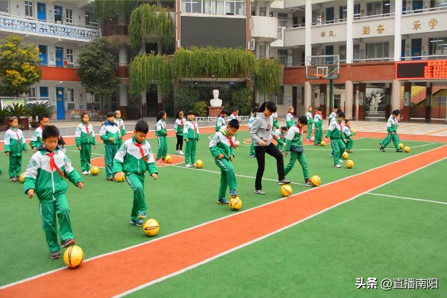 南阳第十二小学咋样,南阳市十二小学介绍