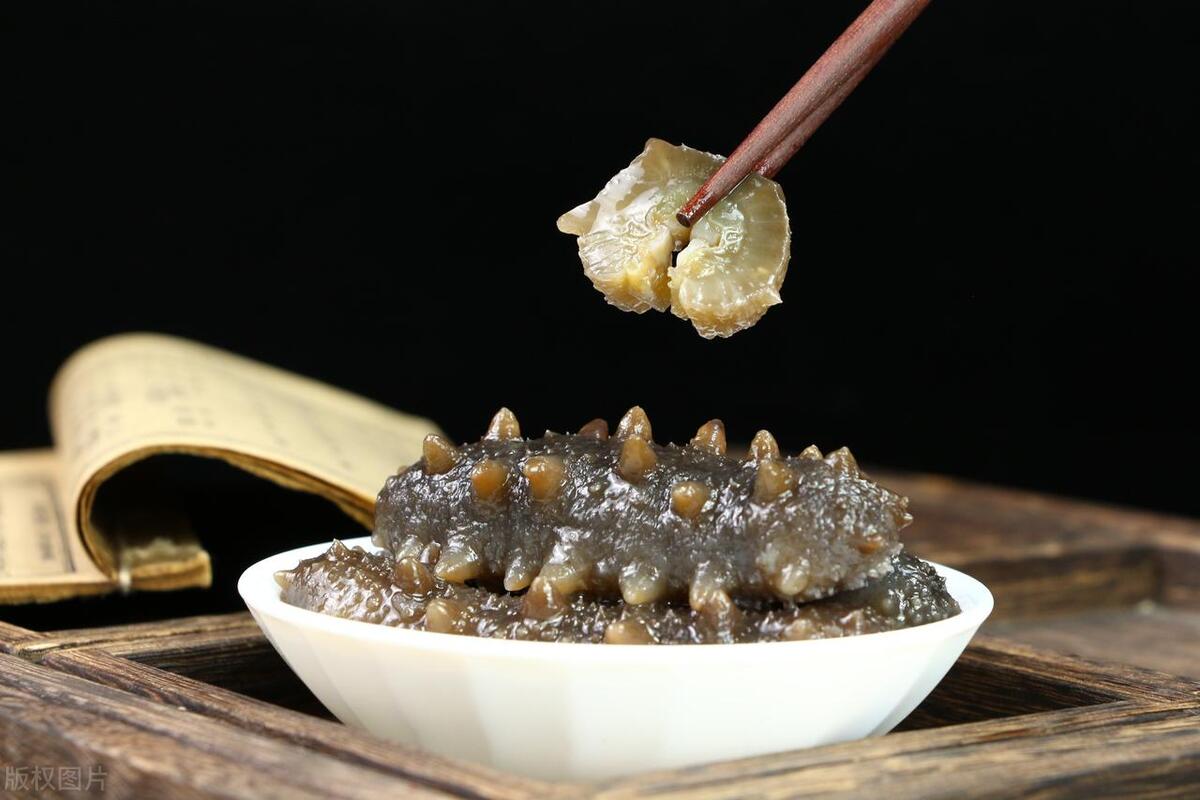 海参的正宗价格,海参品种及介绍