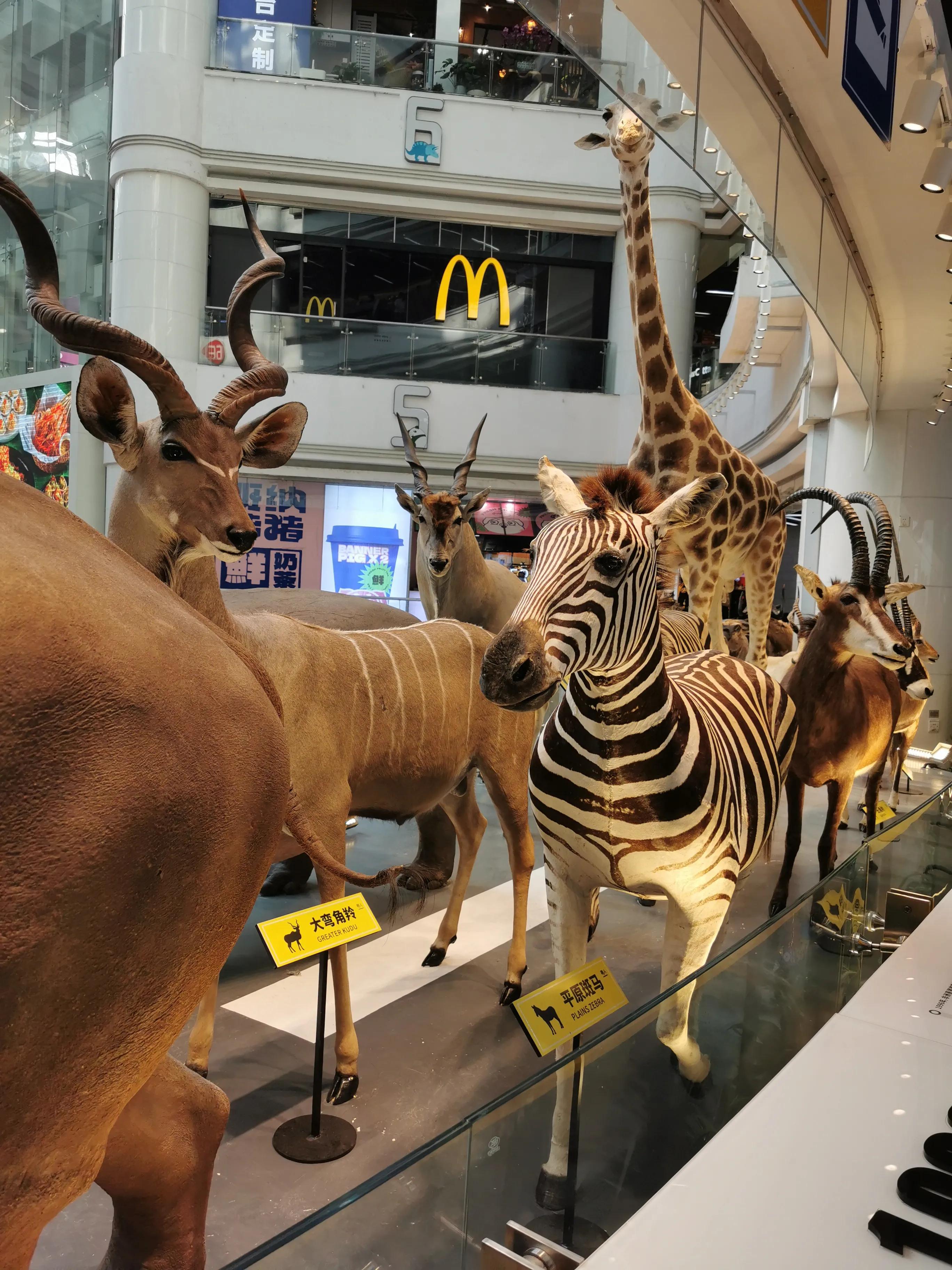 广州正佳广场海洋世界门票,广州正佳广场攻略