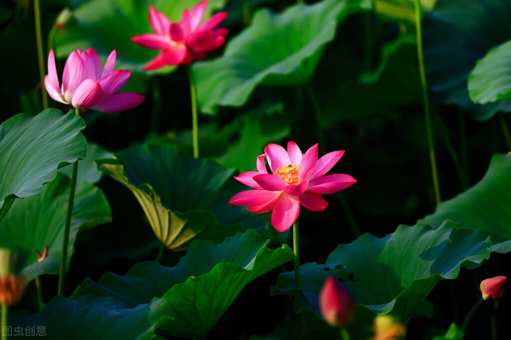 一封情书致亲爱的你,一封情书致未来的爱人