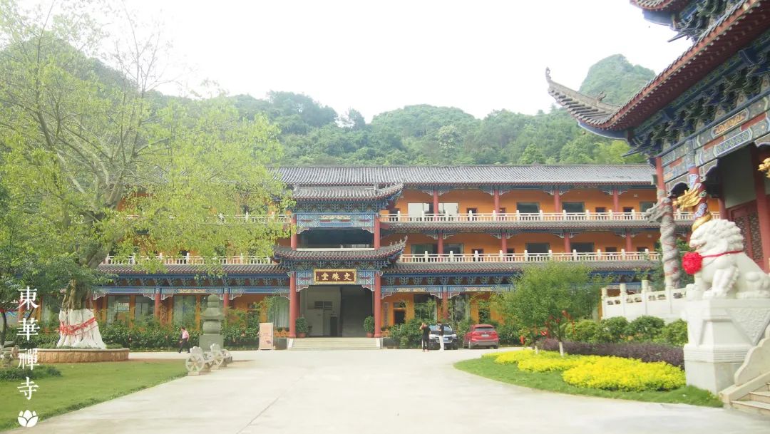 letsgo一周目攻略,letsgo图鉴攻略