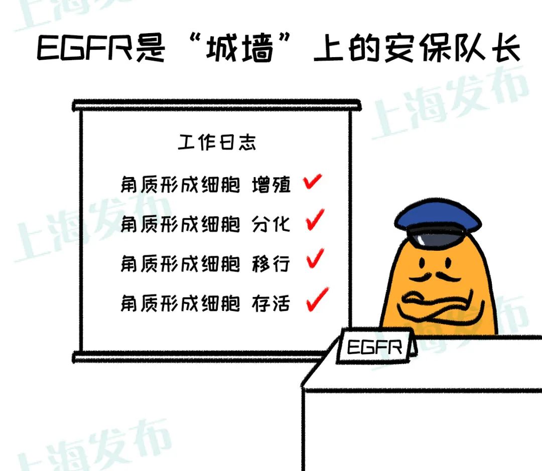 肿瘤性皮肤病,皮肤病专家谈肿瘤