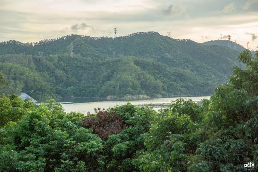 深圳10公里跑步路线,深圳跑步路线推荐塑胶跑道