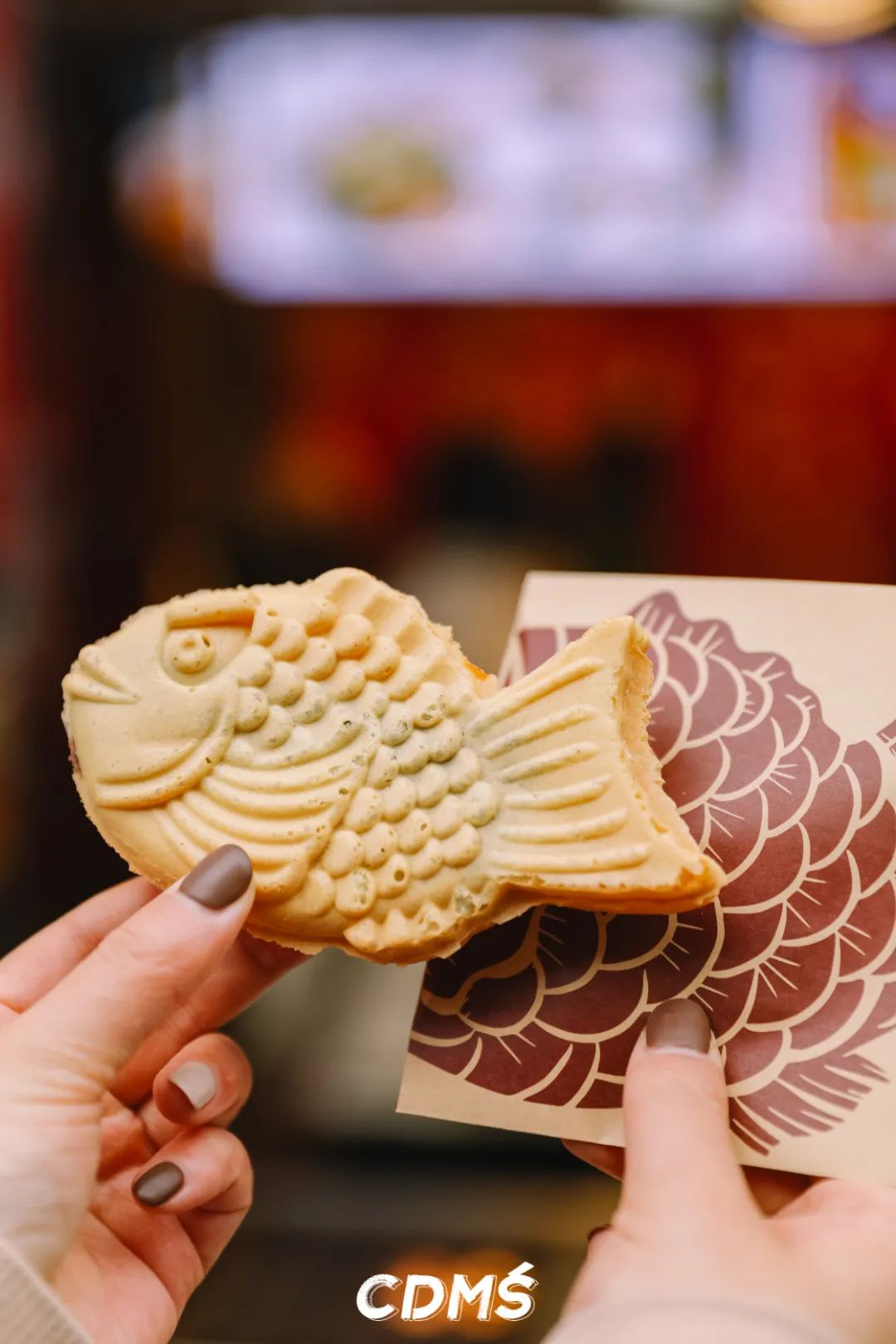 再见了成都完整,成都盐市口地下商城还在吗