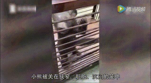 全网最近大事件,最大丑闻案件