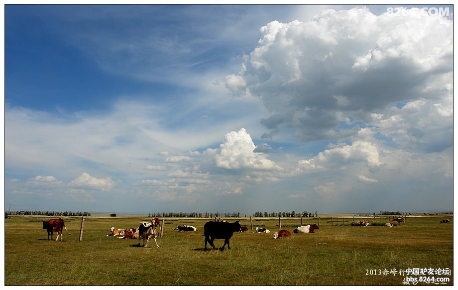 内蒙古自驾游达里诺尔,内蒙古达里诺尔湖旅游视频