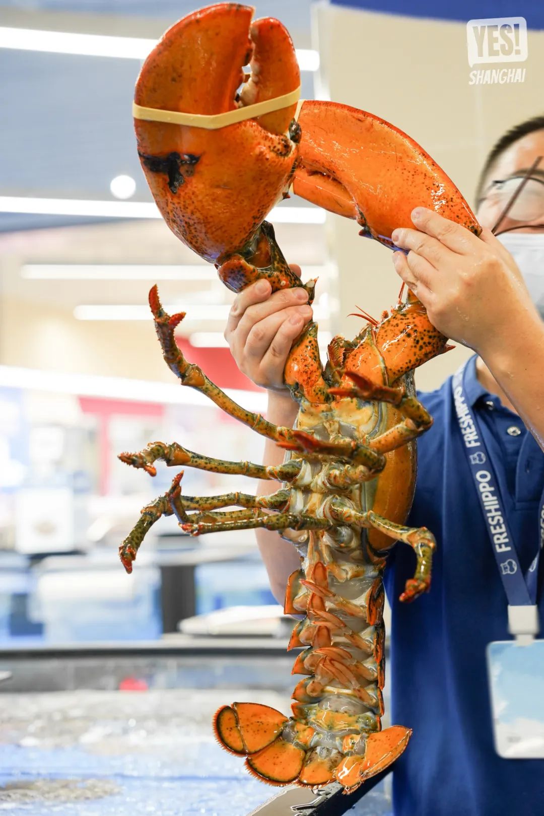 浦东盒马x会员店跨境店,上海第二家盒马x会员店