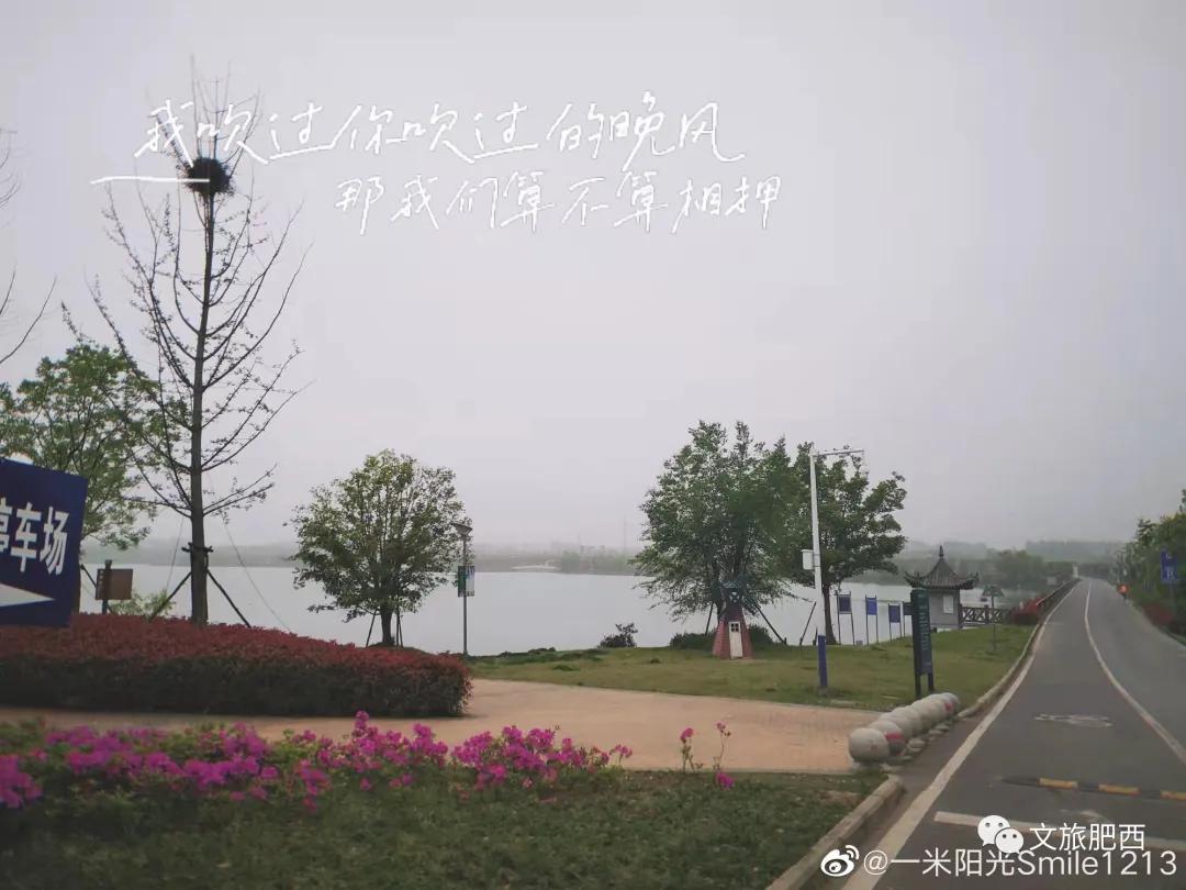 原来，在社交平台中，肥西的真实风景是这样的