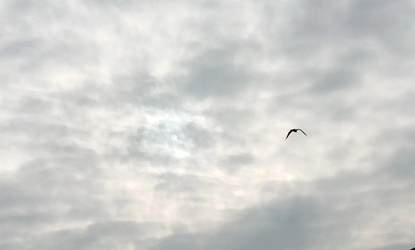 闄や簡閯欒杩樻槸閯欒,娌夐粯灏辨槸閯欒